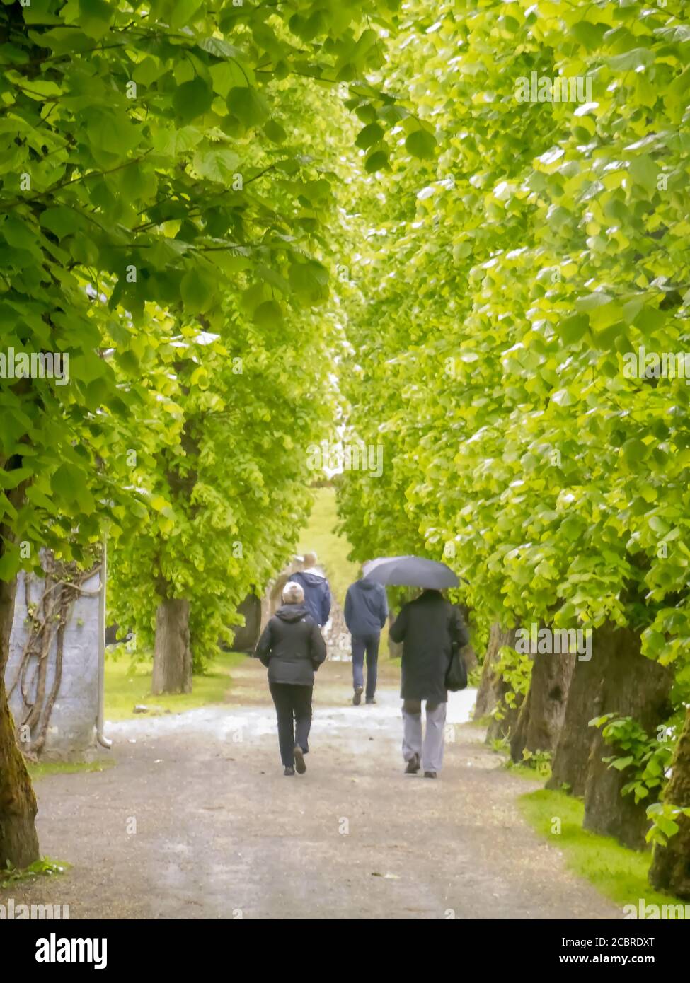 parco all'aperto e persone una vista dalla norvegia Foto Stock