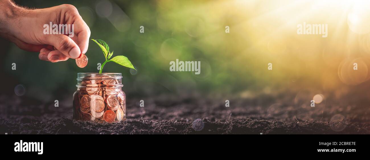 Mano che aggiunge Penny al vaso di moneta con pianta in suolo - crescita aziendale / concetto di investimento Foto Stock