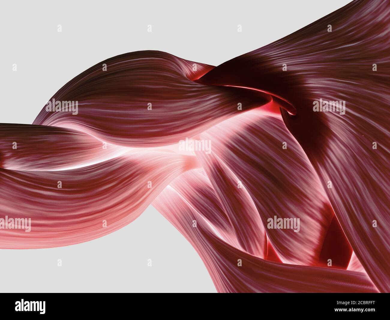 Illustrazione anatomica dei muscoli delle spalle umane. Foto Stock Illustrazione anatomica dei muscoli delle spalle umane. Foto Stock
