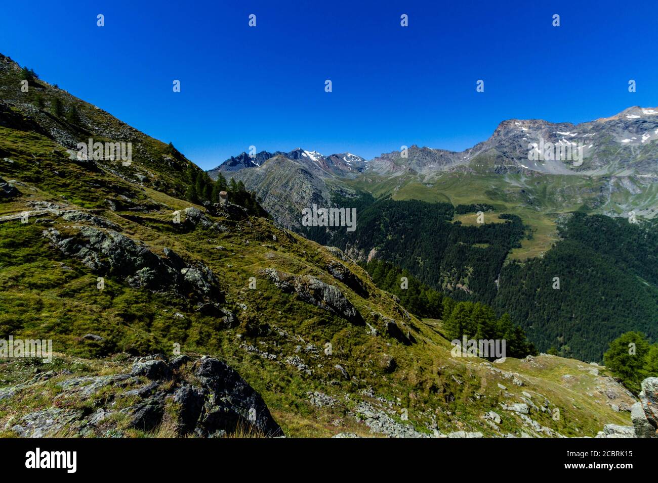 Valle verde nelle Alpi Foto Stock