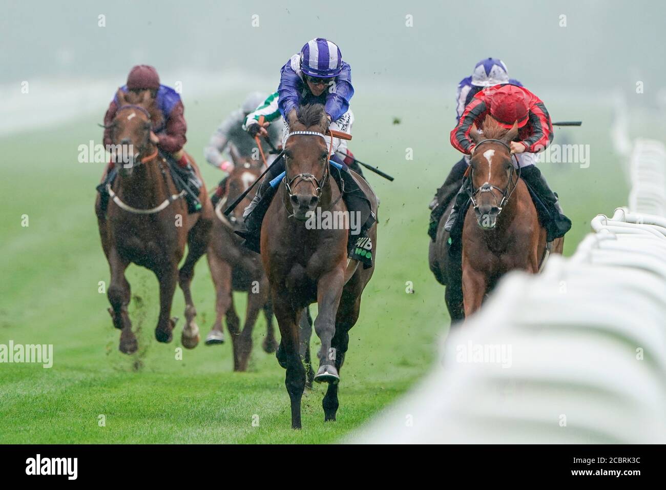 Hukum guidato da Jim Crowley vince l'Irish Thoroughbred Marketing Geoffrey Freer Stakes all'Ippodromo di Newbury. Foto Stock