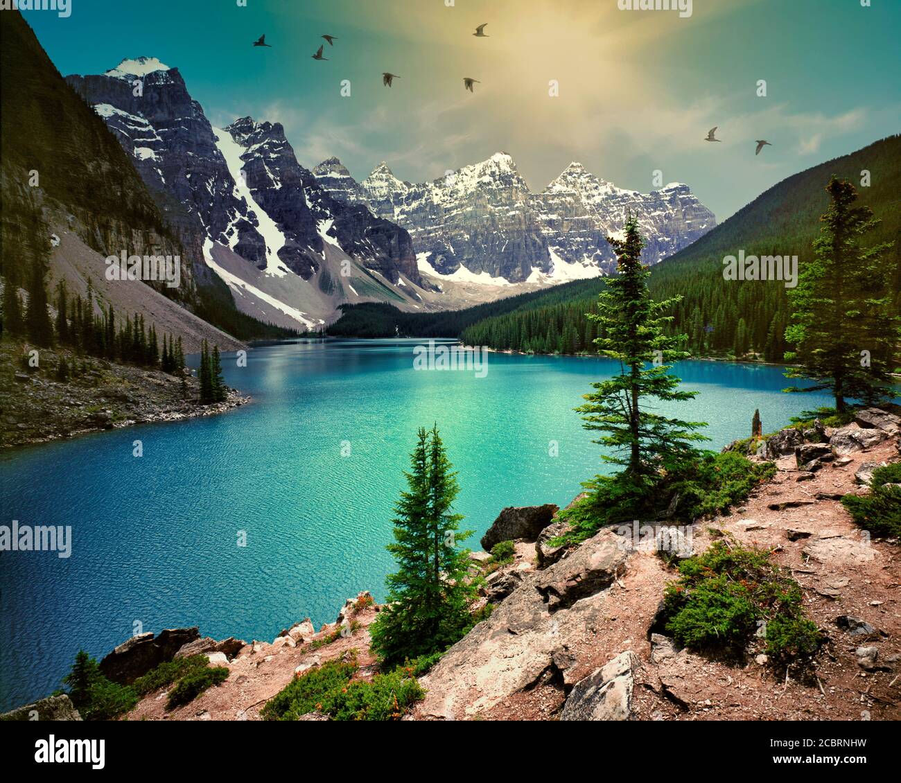 CAN - ALBERTA: Lago Peyto nel Parco Nazionale di Banff Foto Stock