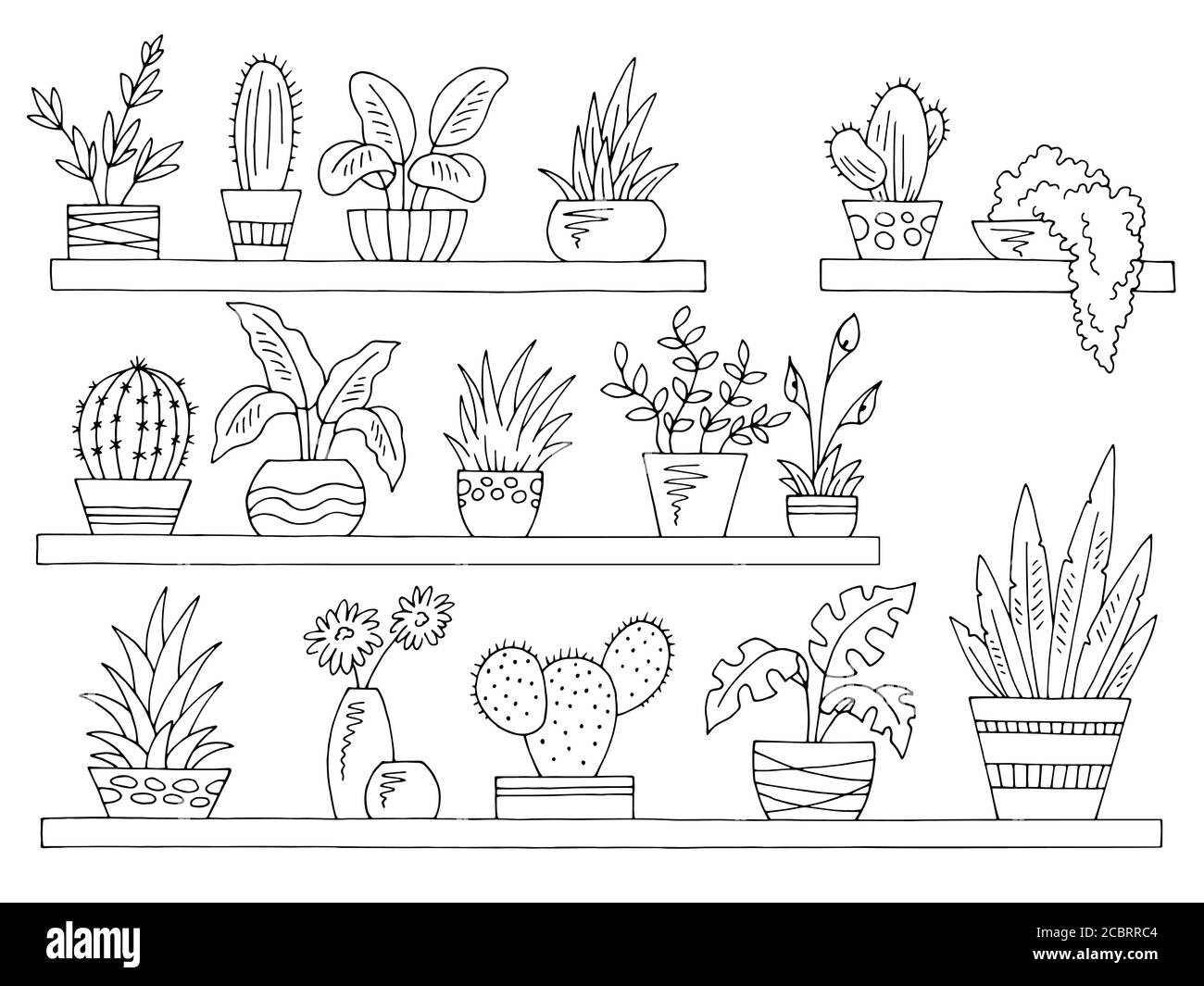 Scaffali Set grafico bianco nero isolato plant pot illustrazione schizzo vettore Illustrazione Vettoriale