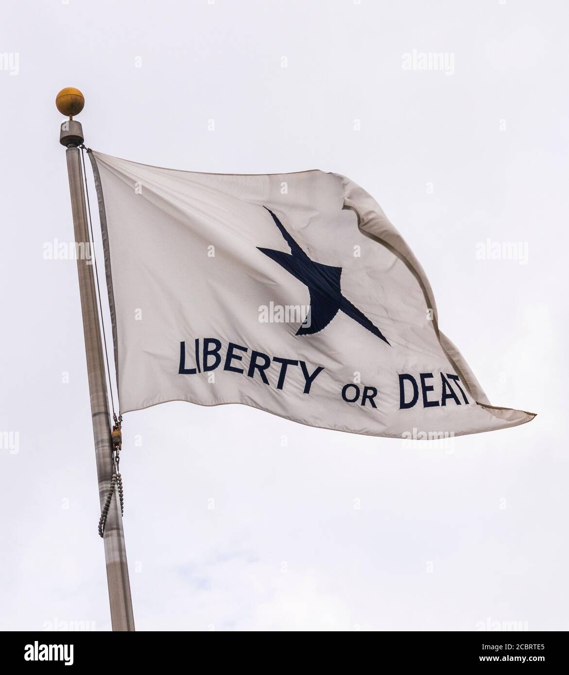 Bandiera della rivoluzione del Texas, bandiera di Troutman (libertà o morte) al monumento a stella solitaria e al parco storico della bandiera a Conroe, Montgomery County, Texas. Foto Stock