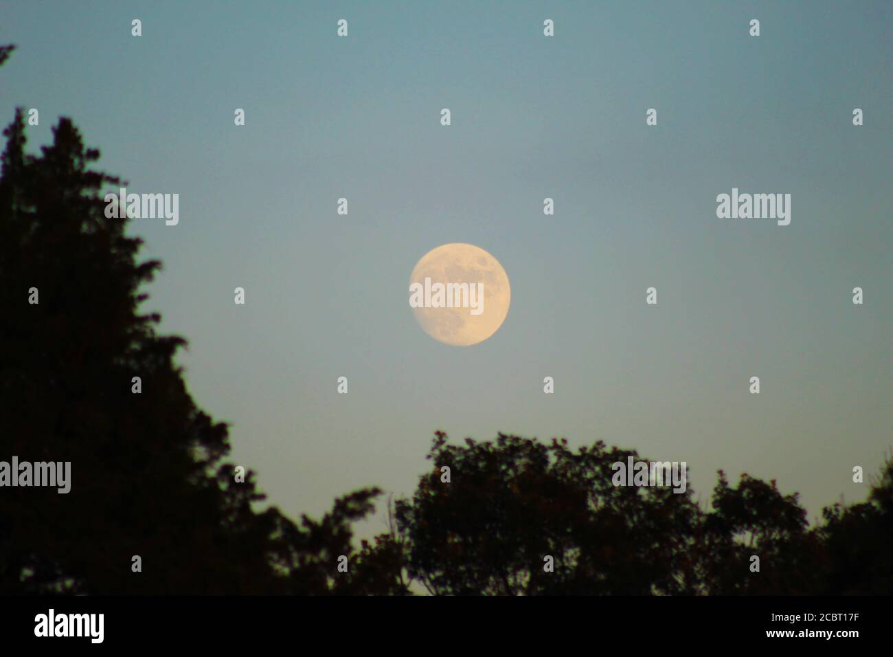 Luna piena durante il tramonto giorno sopra Ozarks Arkansas Foto Stock