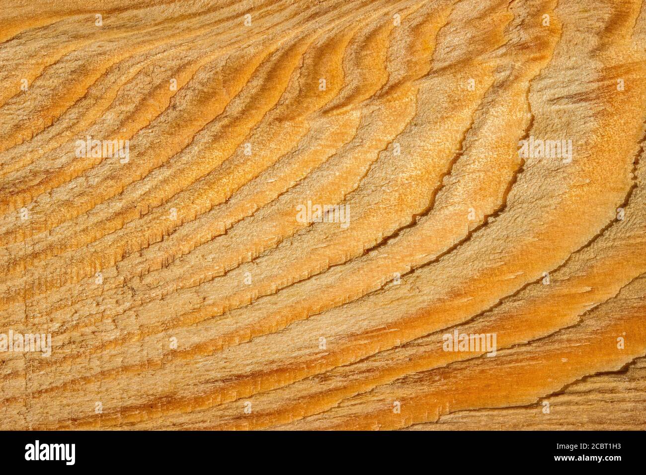 fantastica texture in legno con linee ondulate motivi sfondo naturale per concetto di progettazione della lavorazione del legno Foto Stock