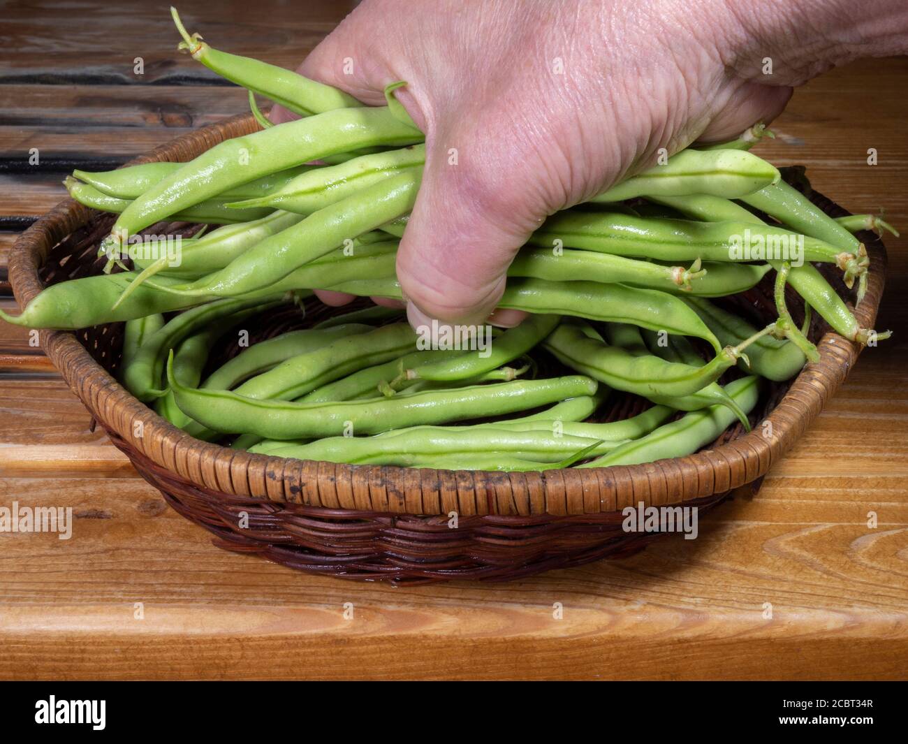 Closeup di una mano di un uomo che tiene alcuni fagioli verdi nani francesi appena raccolti, con più asciugando fuori in un piccolo cestino di vimini dopo essere stato lavato. Foto Stock