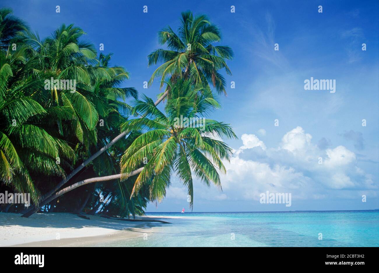 Bianco puro e spiaggia di sabbia sulla isola di Fihalhohi nelle Maldive Foto Stock