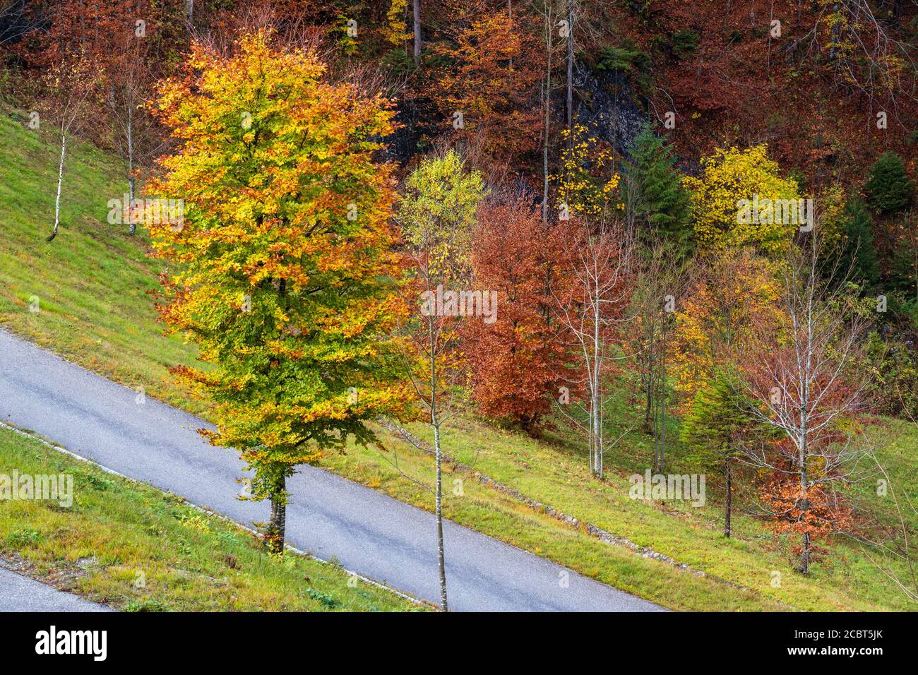 Vista sulla strada alpina autunnale, sovrastato, nebbia e giorno di pioggia. Foto Stock