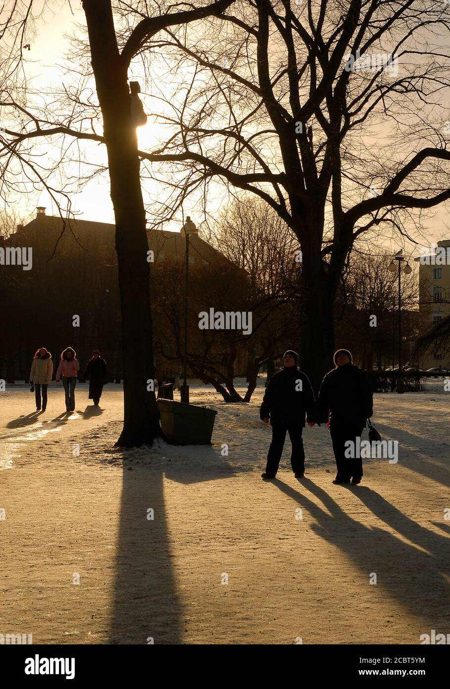 Persone che camminano nel Parco di Tammsaare a Tallinn, Estonia. Il sole basso diffonde lunghe ombre. Parco Tammsaare con neve in inverno. Foto Stock