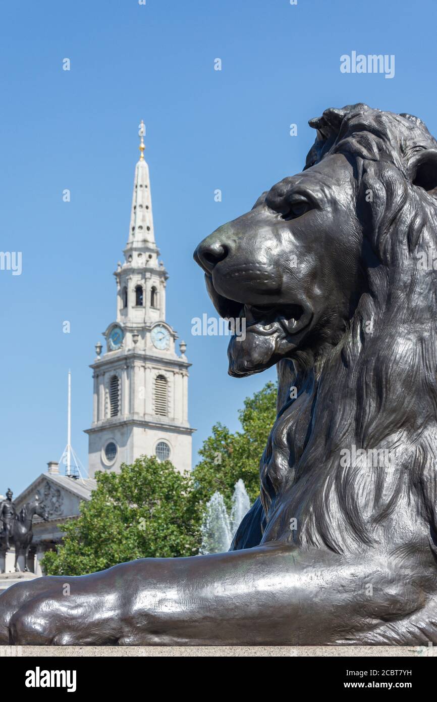 Statua del Leone e Chiesa di San Martino in the Fields, Trafalgar Square, City of Westminster, Greater London, England, Regno Unito Foto Stock