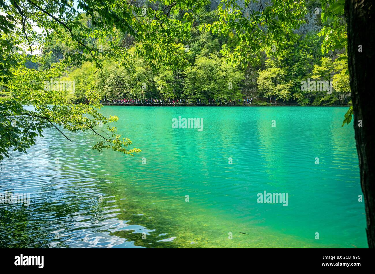 Paesaggio pittoresco con lago turchese nel Parco Nazionale di Plitvice. Croazia Foto Stock