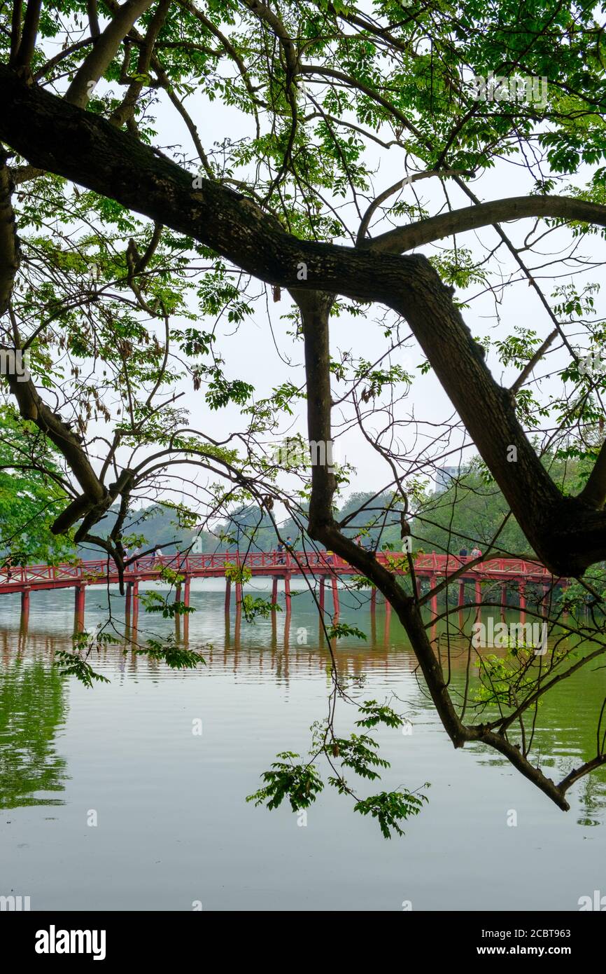 Lago Hoan Kiem, distretto di Hanoi Ba Dinh, Vietnam. Riflessione di alberi e foglie in acqua. Atmosfera rilassante. Foto Stock