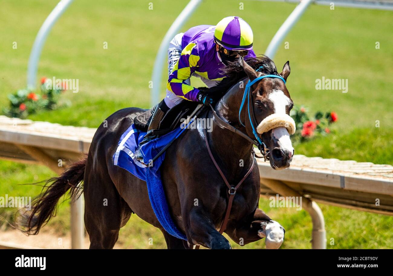 15 agosto 2020, del Mar, California, USA: 15 AGOSTO: Kentucky Derby Hopeful, Honor AP lavora al del Mar Thoroughbred Club con il jockey regolare Mike Smith a bordo, a del Mar, California il 15 agosto 2020. Evers/Eclipse Sportswire/CSM Foto Stock