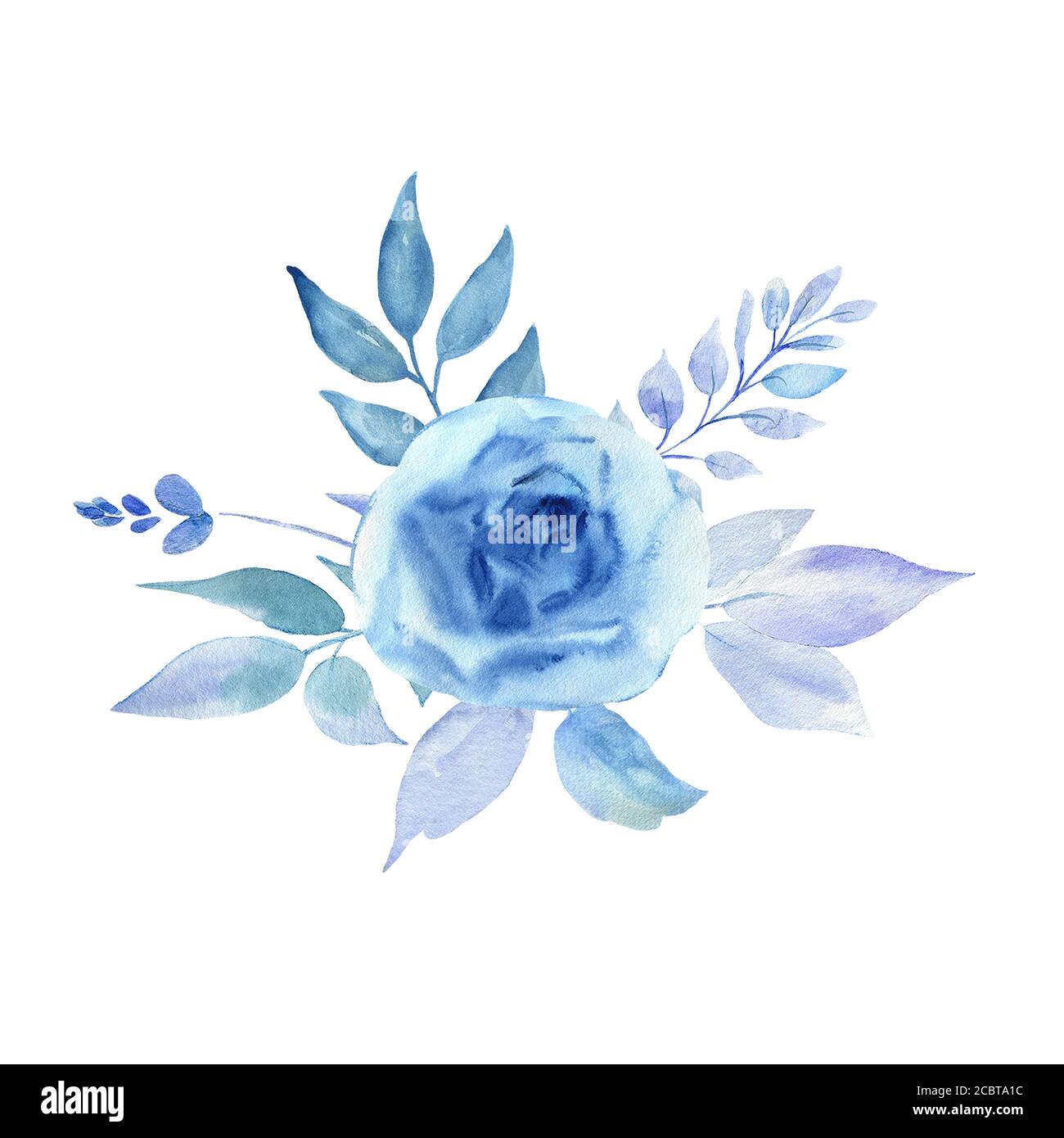 Immagine acquerello di fiori blu su sfondo bianco. Foto Stock