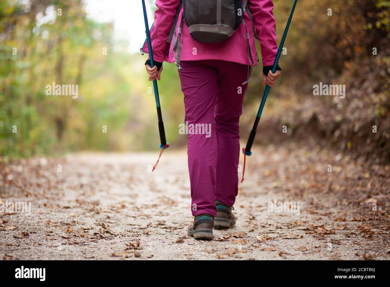 Ragazza escursionista che cammina via dalla macchina fotografica su un ampio sentiero in montagna. Vista posteriore di zaino in spalla con giacca rosa in una foresta. Uno stile di vita sano Foto Stock