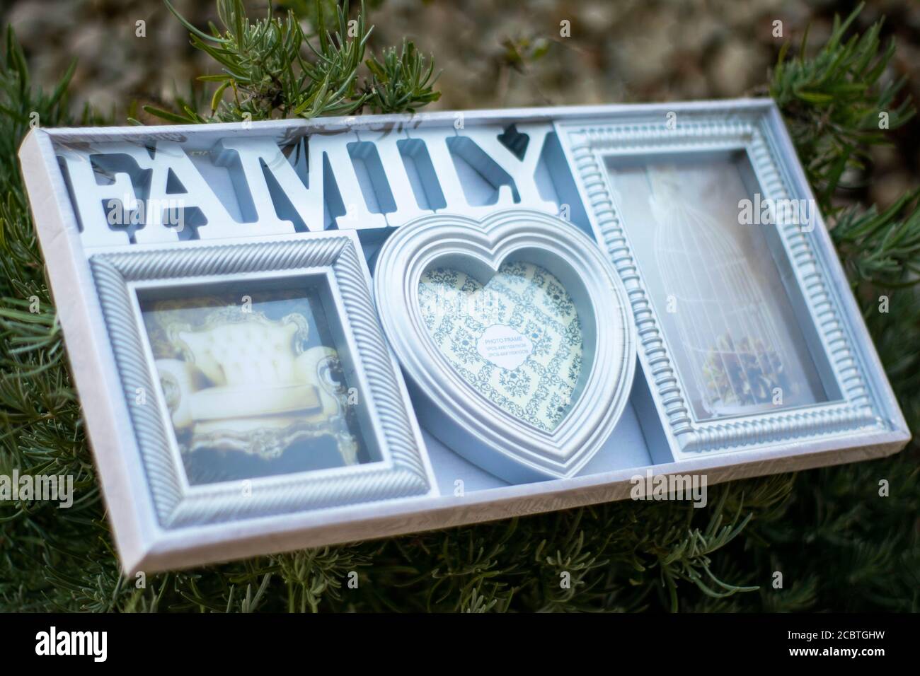 Cornice fotografica di famiglia in giardino Foto Stock