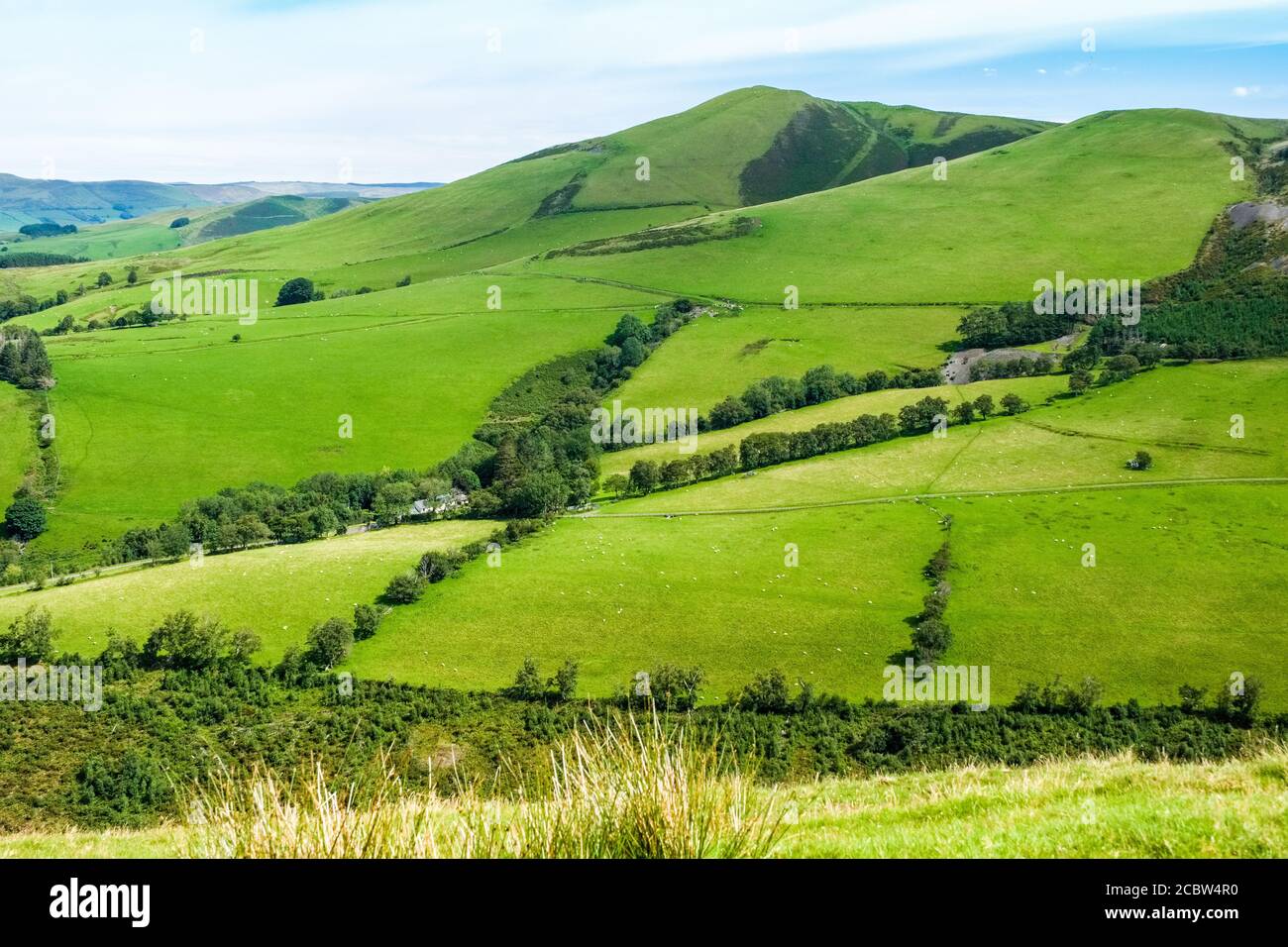 Moelfre collina nel mezzo del Galles vicino Machynlleth Foto Stock