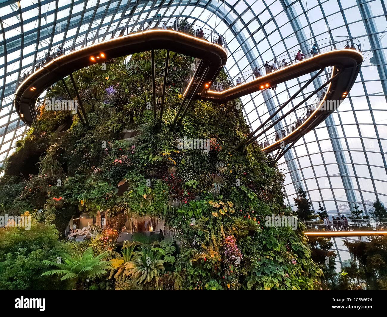 All'interno dell'Osservatorio Cloud Forest Foto Stock