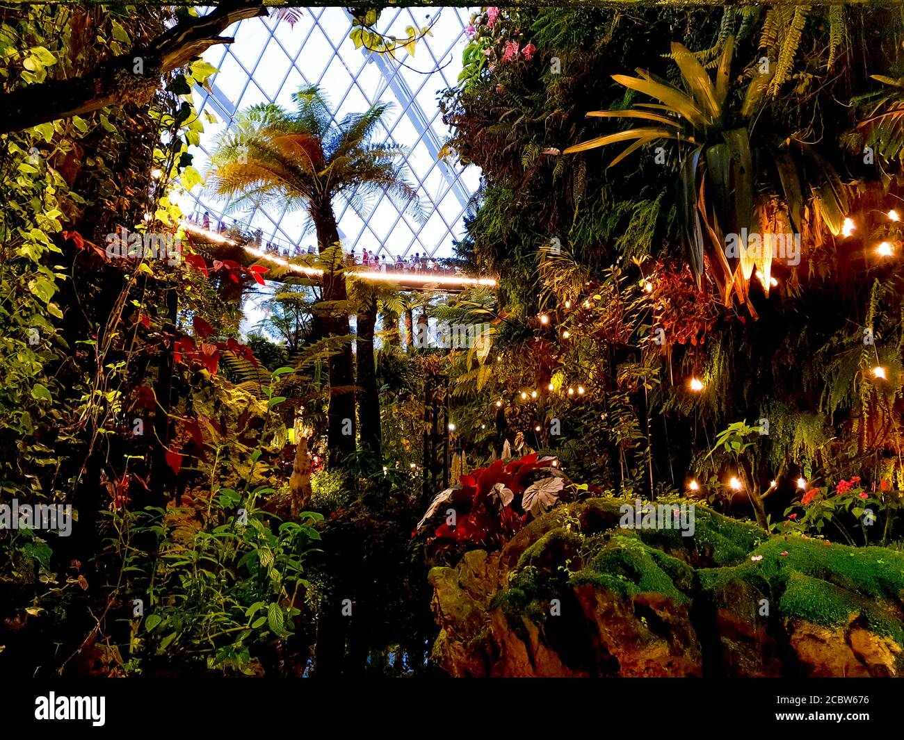 All'interno dell'Osservatorio Cloud Forest Foto Stock