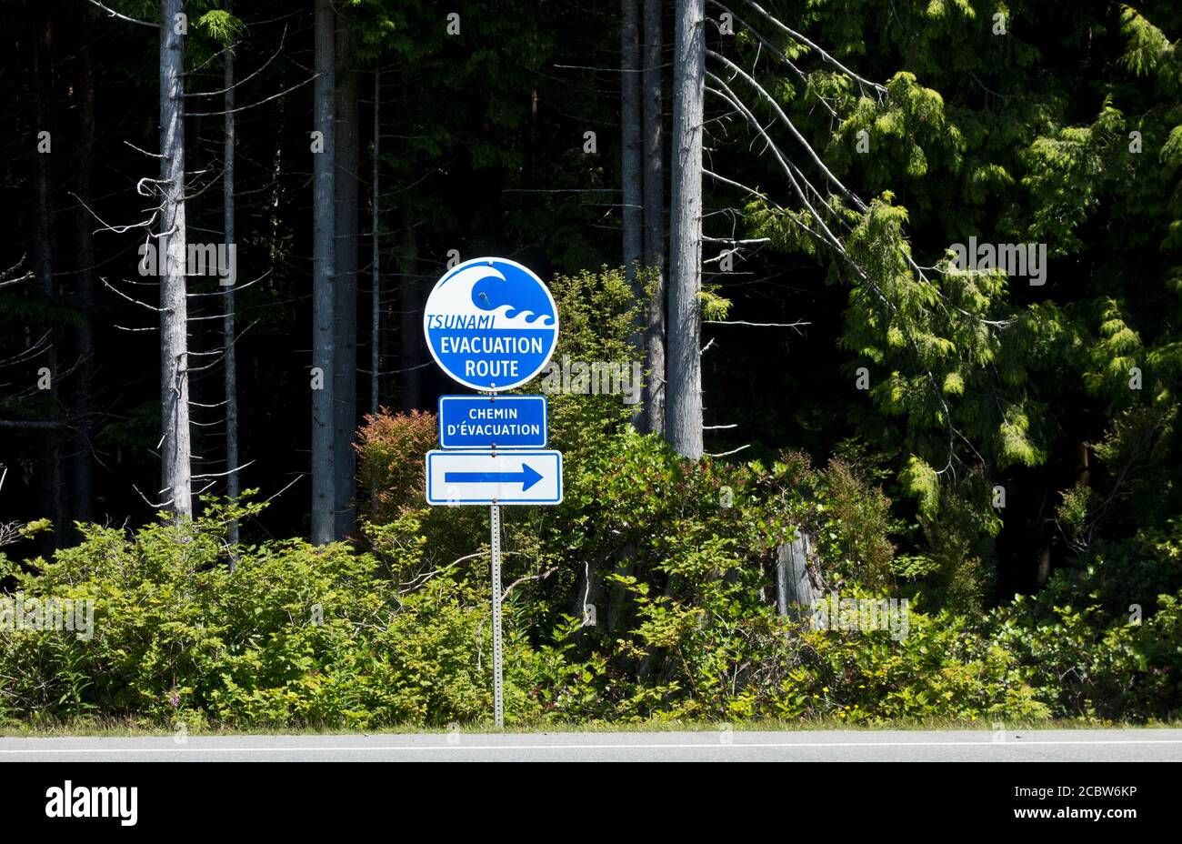 Cartello di evacuazione dello tsunami nel parco nazionale Pacific Rim sull'isola di Vancouver, BC, Canada Foto Stock
