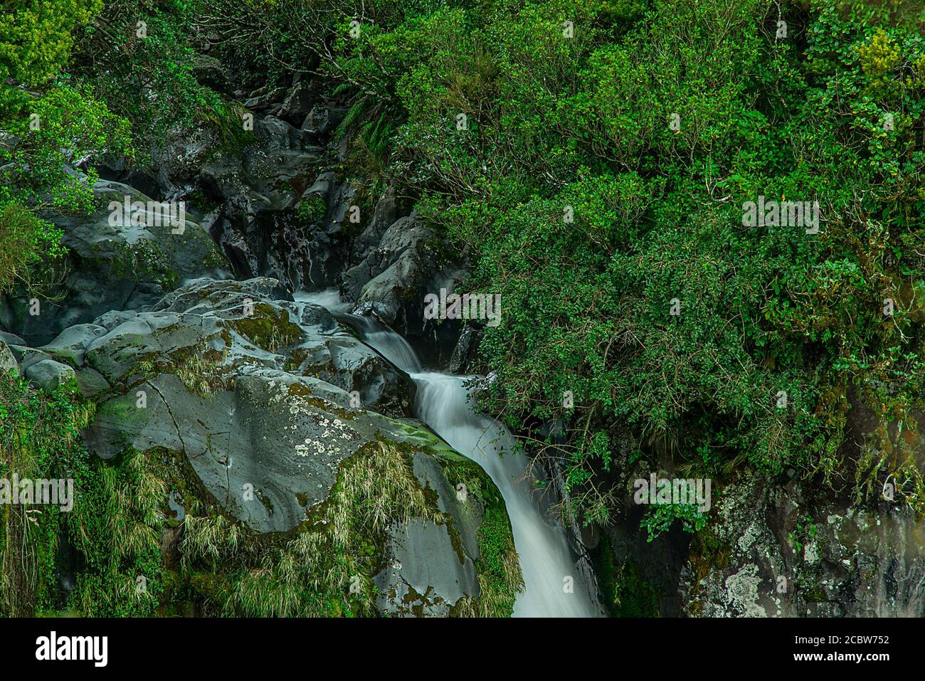 Vulcano del Monte Taranaki nell'isola settentrionale della Nuova Zelanda. Foto Stock