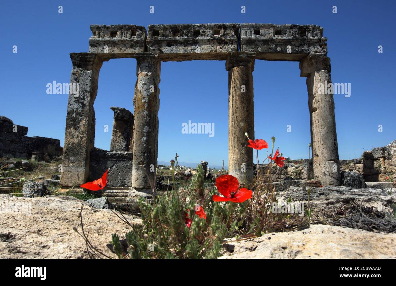 Una sezione di rovine presso l'antico sito di Hierapolis a Pamukkale in Turchia. Queste rovine colonnate si affacciano su Frontinus Street. Foto Stock