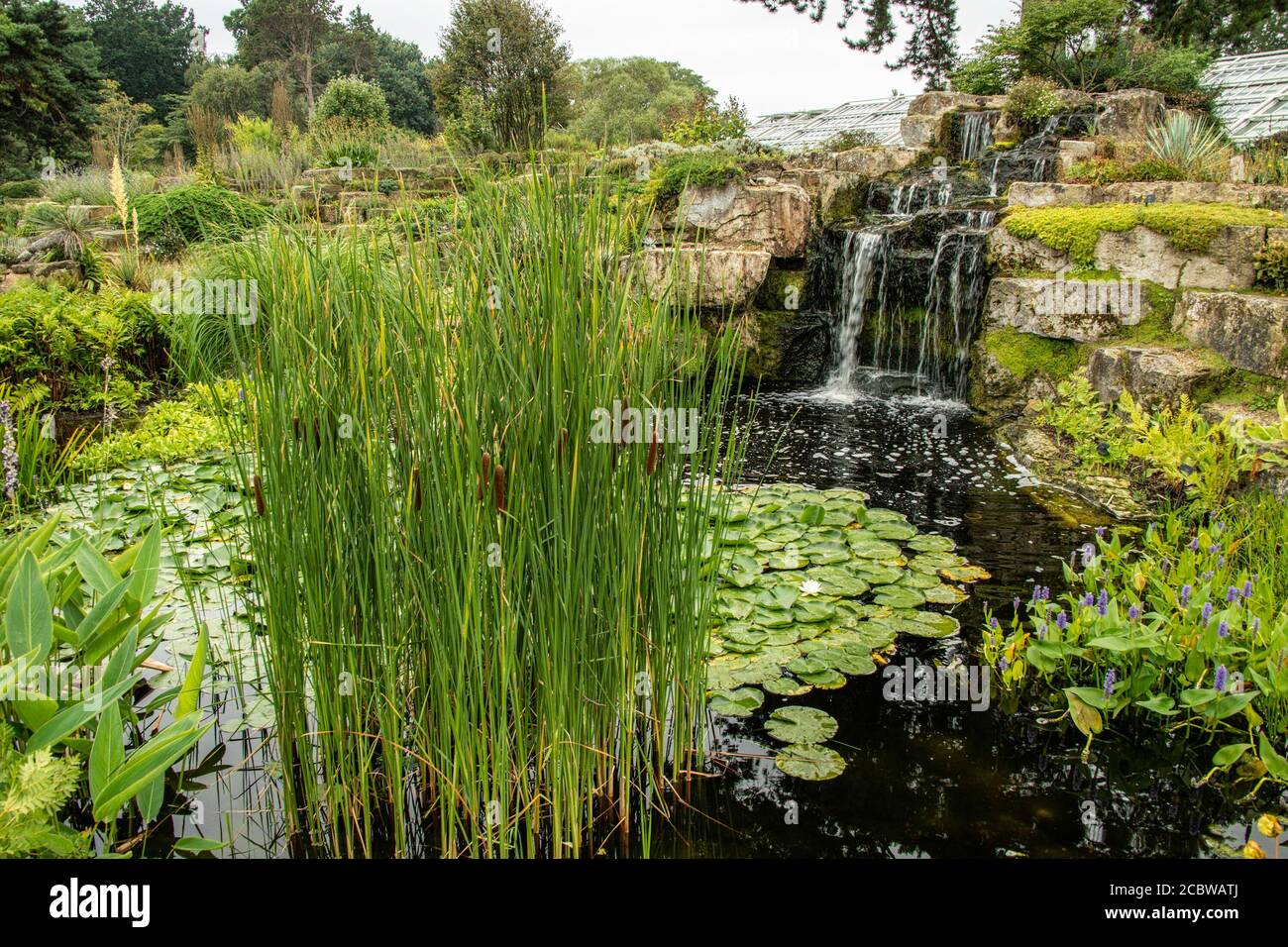 Kew Gardens 14-8-2020. Foto Stock