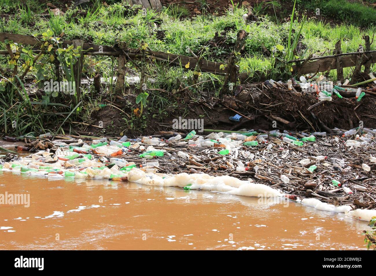 La spazzatura accumulò un'ansa del fiume della valle di Bwindi nell'Uganda occidentale. Foto Stock