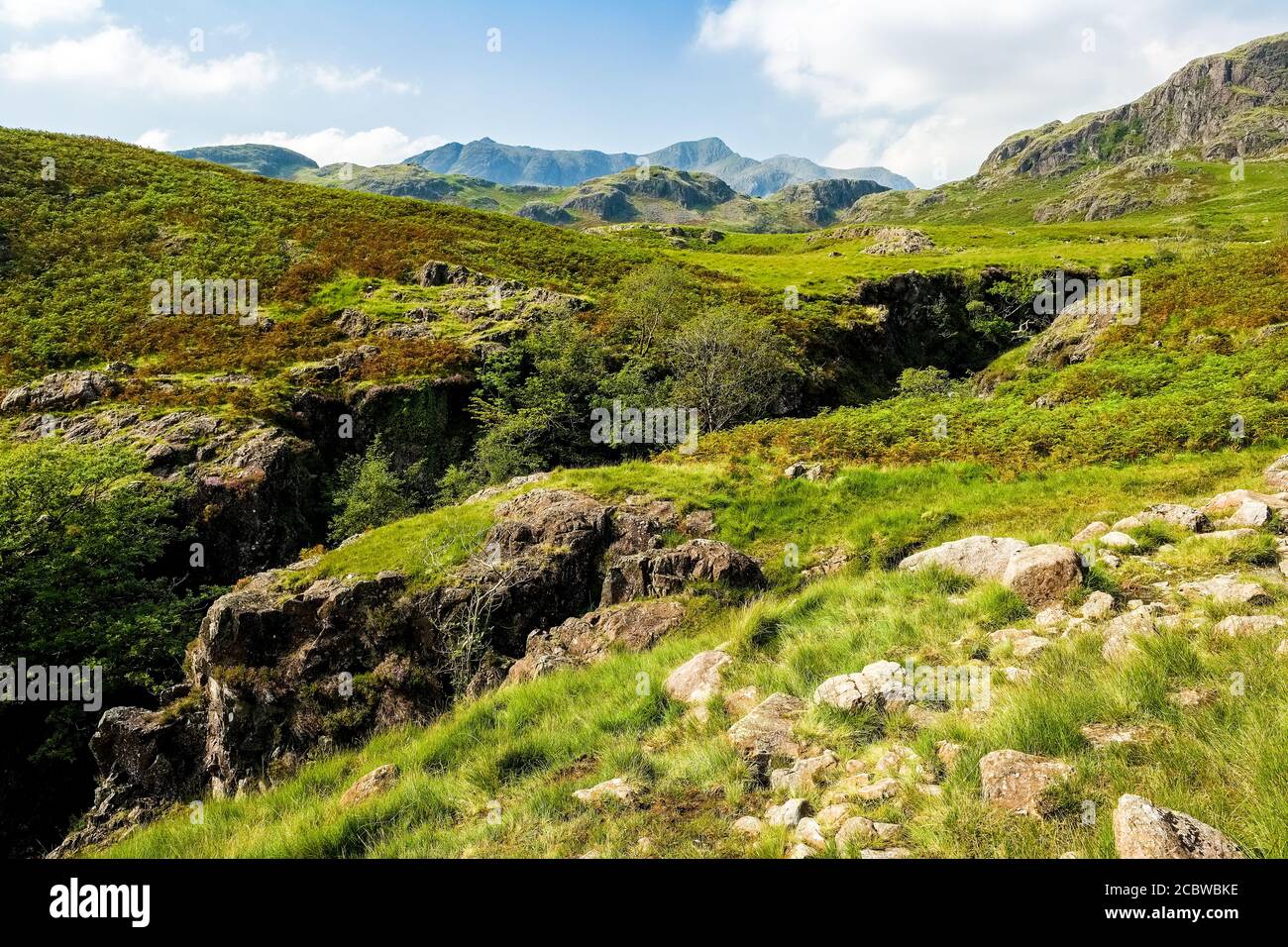 L'alta valle di Esk con le montagne di Scafell in lontananza, Lake District National Park Foto Stock