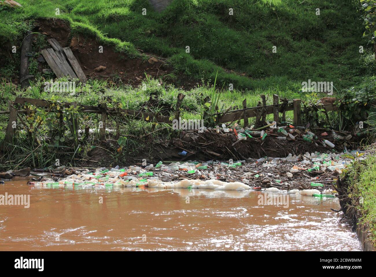 La spazzatura accumulò un'ansa del fiume della valle di Bwindi nell'Uganda occidentale. Foto Stock