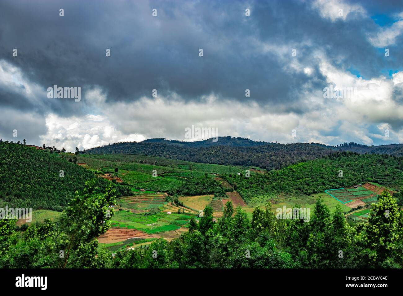 montagne coperte di giardini del tè e foreste verdi immagine è presa a sud india, che mostra il bellissimo paesaggio del sud india. Foto Stock