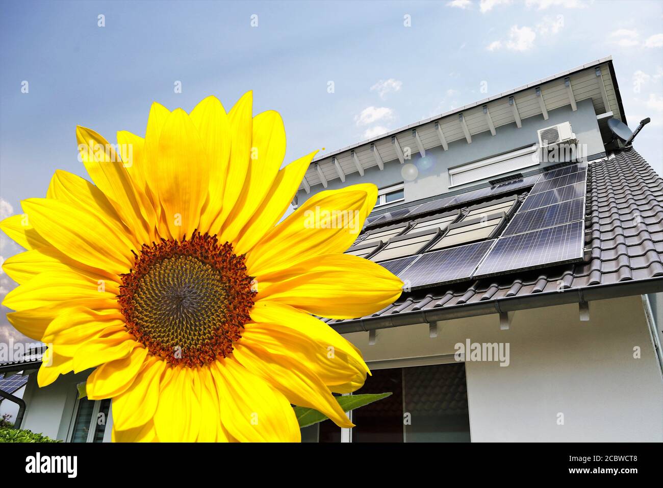 Tetto solare (fotovoltaico) con girasole in primo piano Foto Stock