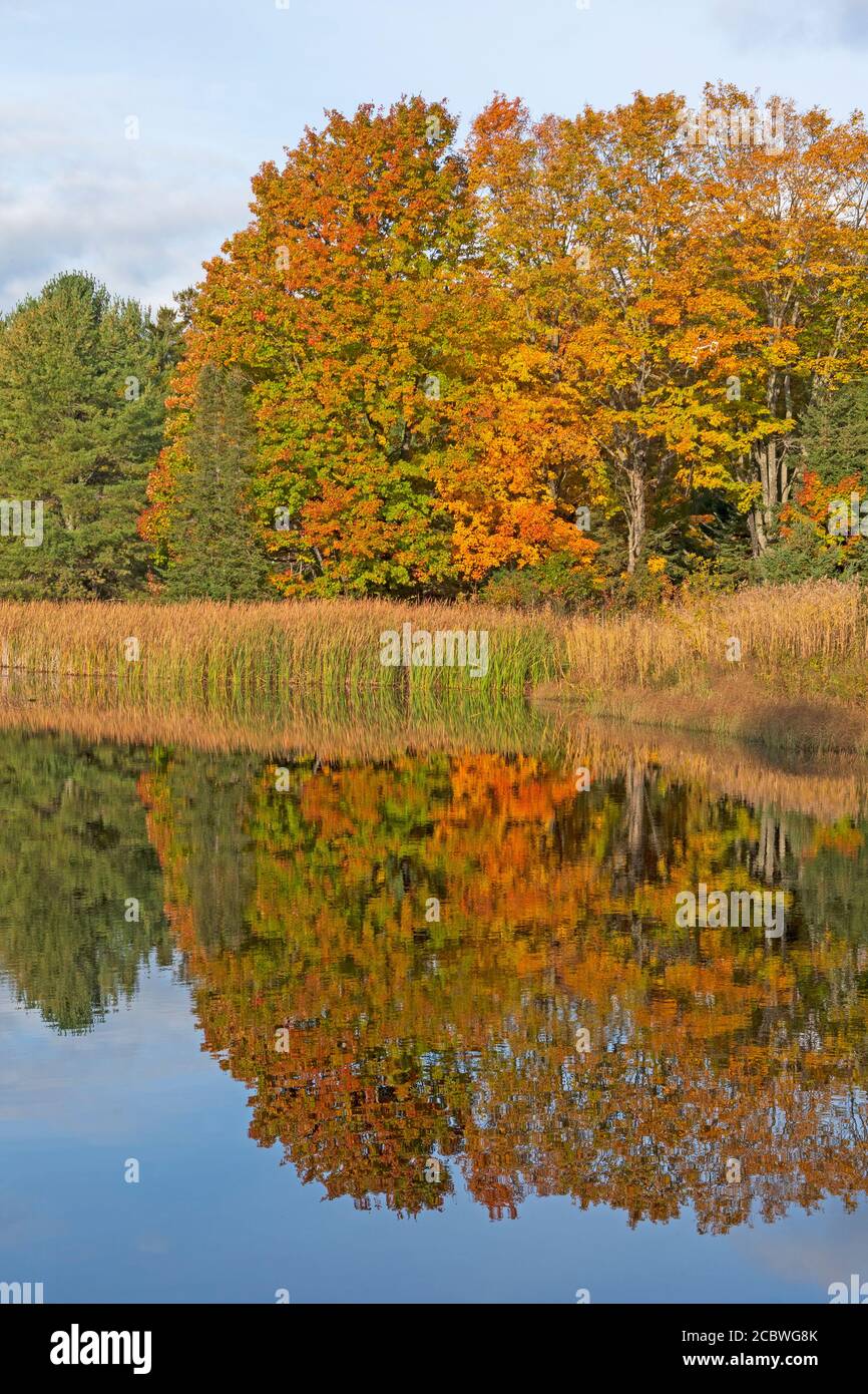 Riflessioni mattutine in autunno al Wilderness state Park Nel Michigan Foto Stock