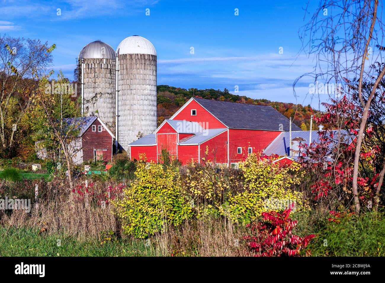 Fattoria autunno colorato, Jeffersonville, Vermont, Stati Uniti Foto Stock