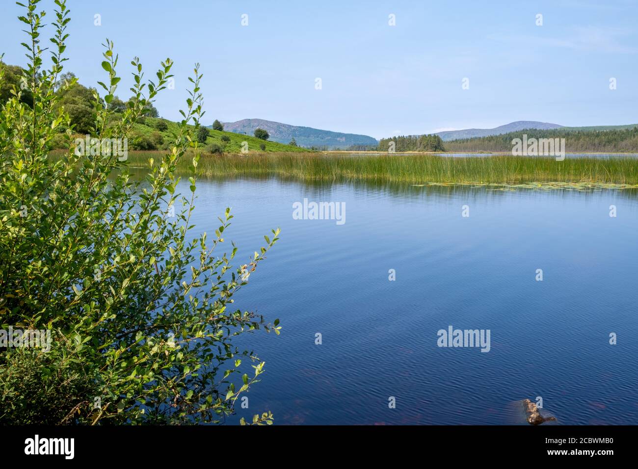 Loch Stroan, Dumfries & Galloway, Scozia, Regno Unito Foto Stock