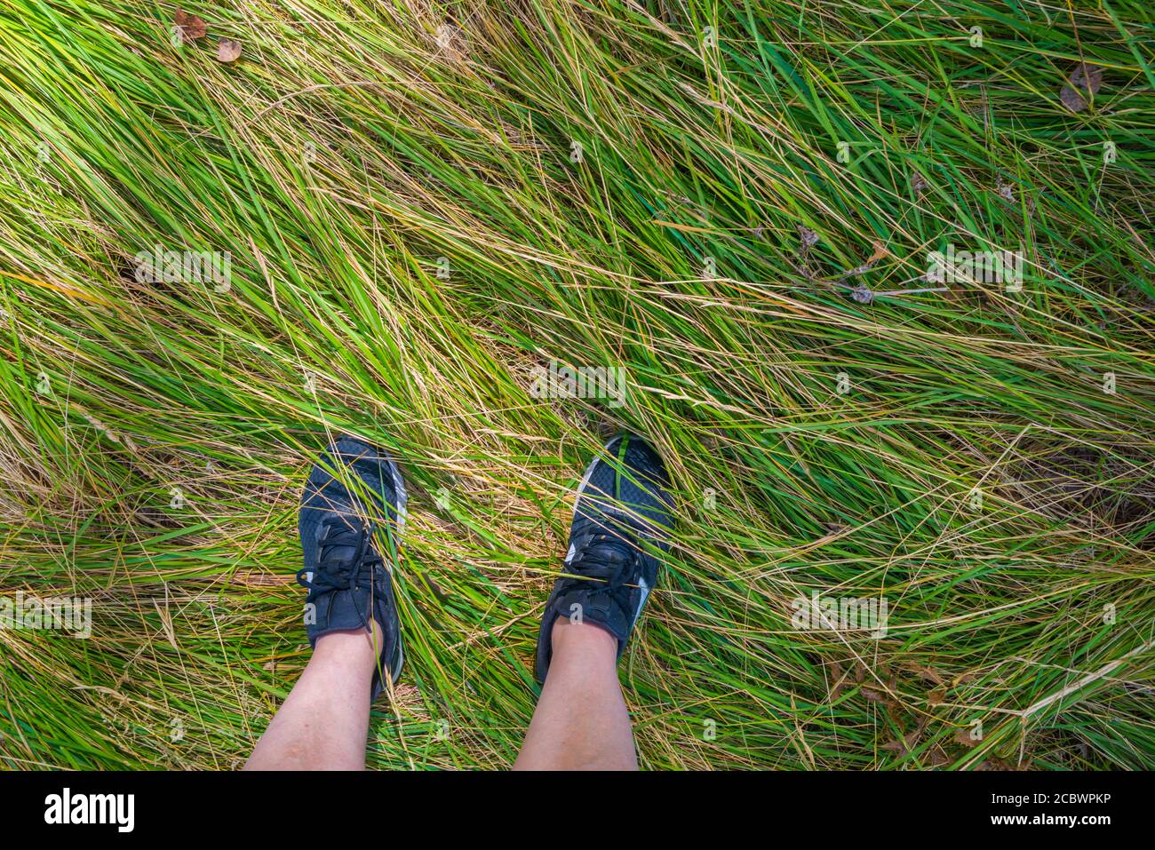 Piedi che indossano sneakers sull'erba. Foto Stock