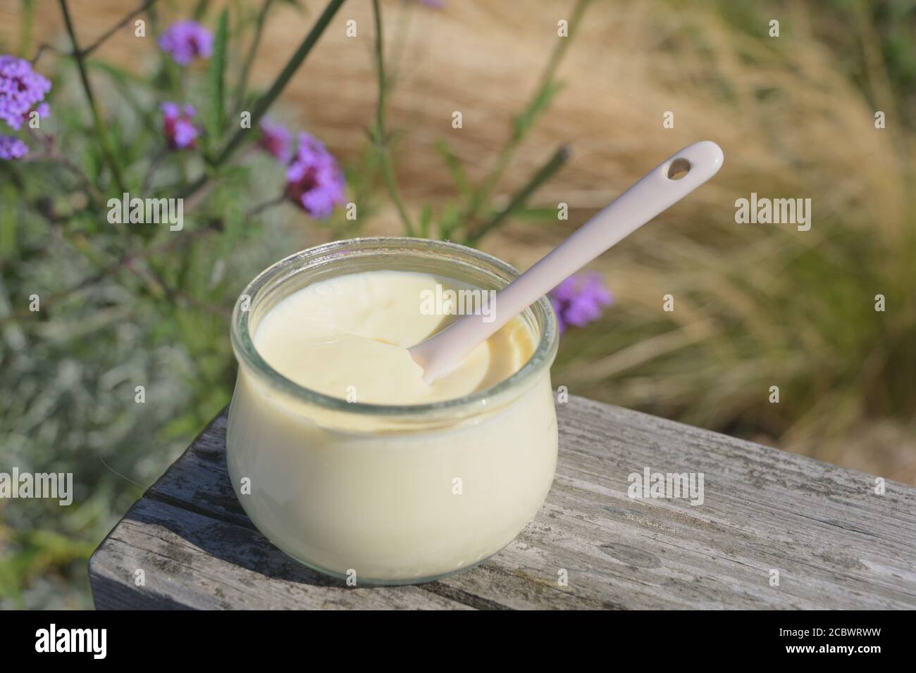 Vasetto di creme brulee con un cucchiaio di ceramica su un panca di legno all'aperto Foto Stock