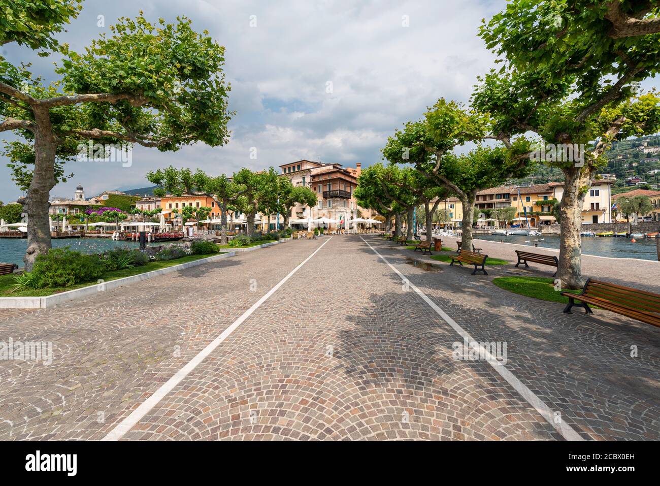 Lungomare con platani nel porto di Torri del Benaco sul Lago di Garda, Veneto, Italia Foto Stock