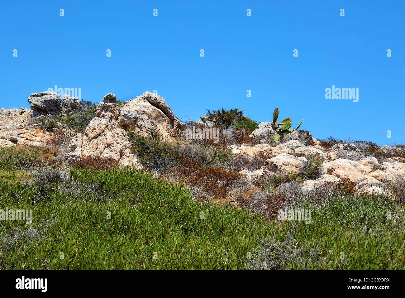 Isola di Santa Maria, vista dei wunderlasts per rocce e arbusti Foto Stock