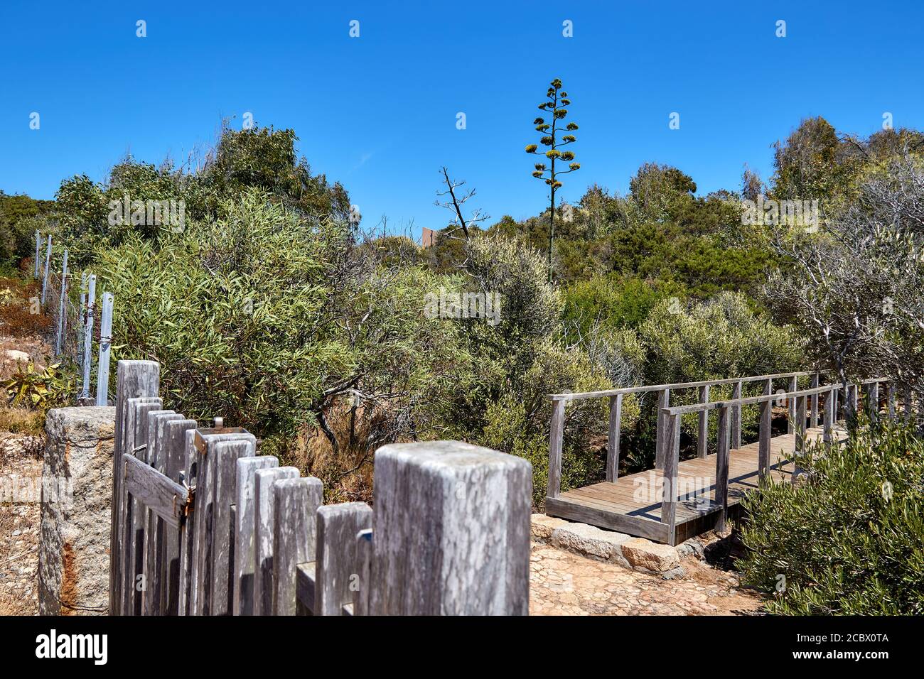 Isola di Santa Maria, vista dei wunderlasts per rocce e arbusti Foto Stock