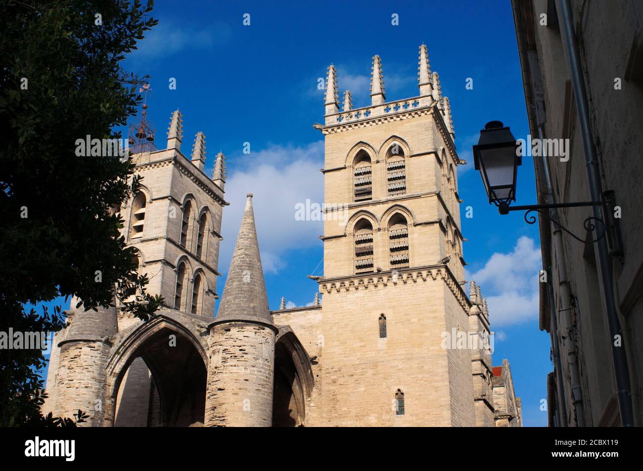 Città vecchia e Facoltà o Università di Medicina in background Montpellier Francia. La dinastia Guilhem termina con l'incorporazione di Montpellier i. Foto Stock