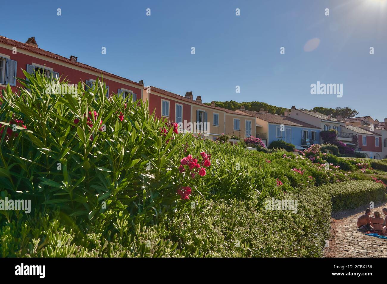 Case colorate circondate da fiori di oleandro sull'isola di Sardegna Foto Stock
