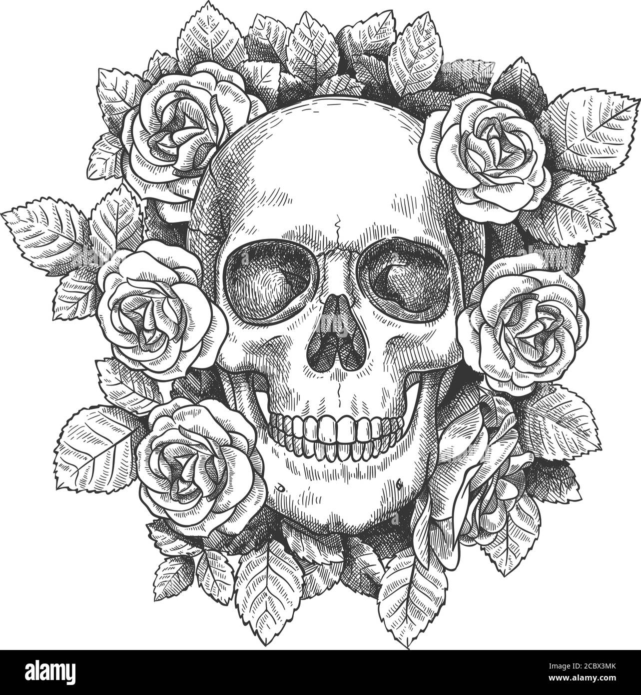 Cranio con fiori. Abbozzare il cranio umano con rose, tatuaggio nero gotico tradizionale. Disegnata mostro halloween incisione grafica vettoriale Illustrazione Vettoriale