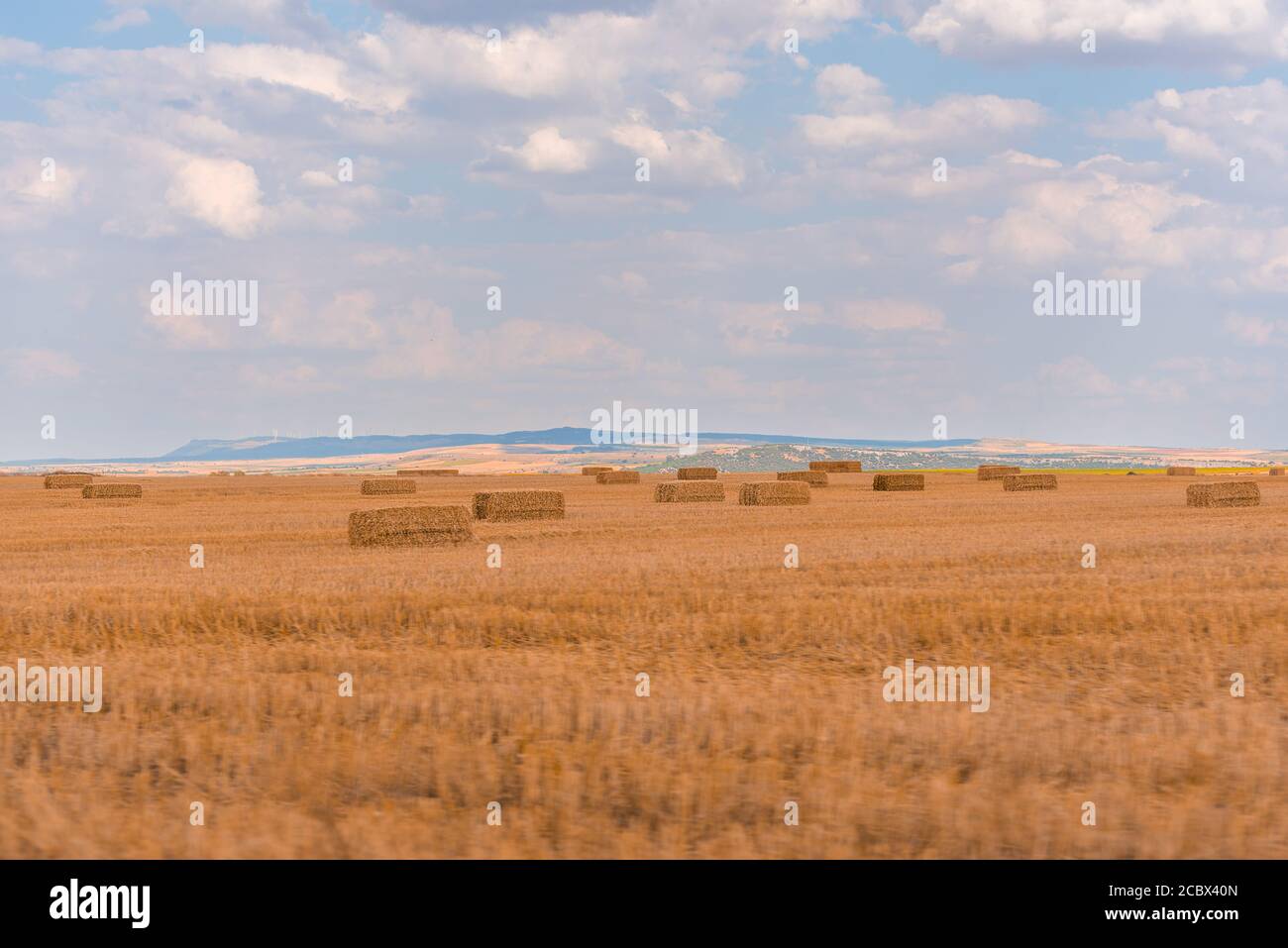 campi agricoli spagnoli in estate Foto Stock