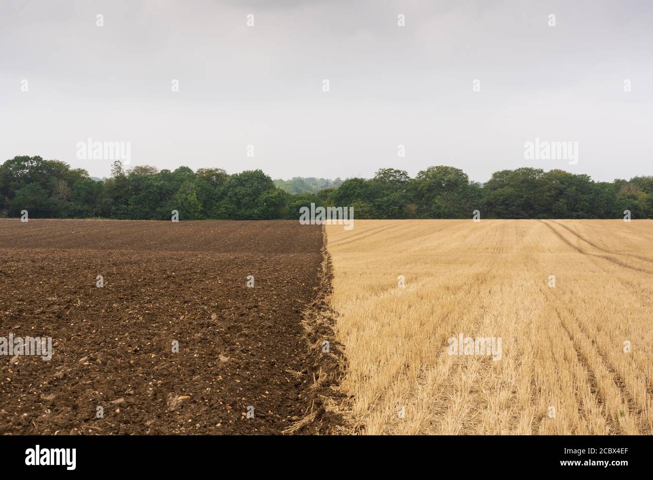 Terreno marrone in mezzo campo arato dopo raccolto in tarda estate. Molto Hadham, Hertfordshire. Inghilterra. REGNO UNITO Foto Stock
