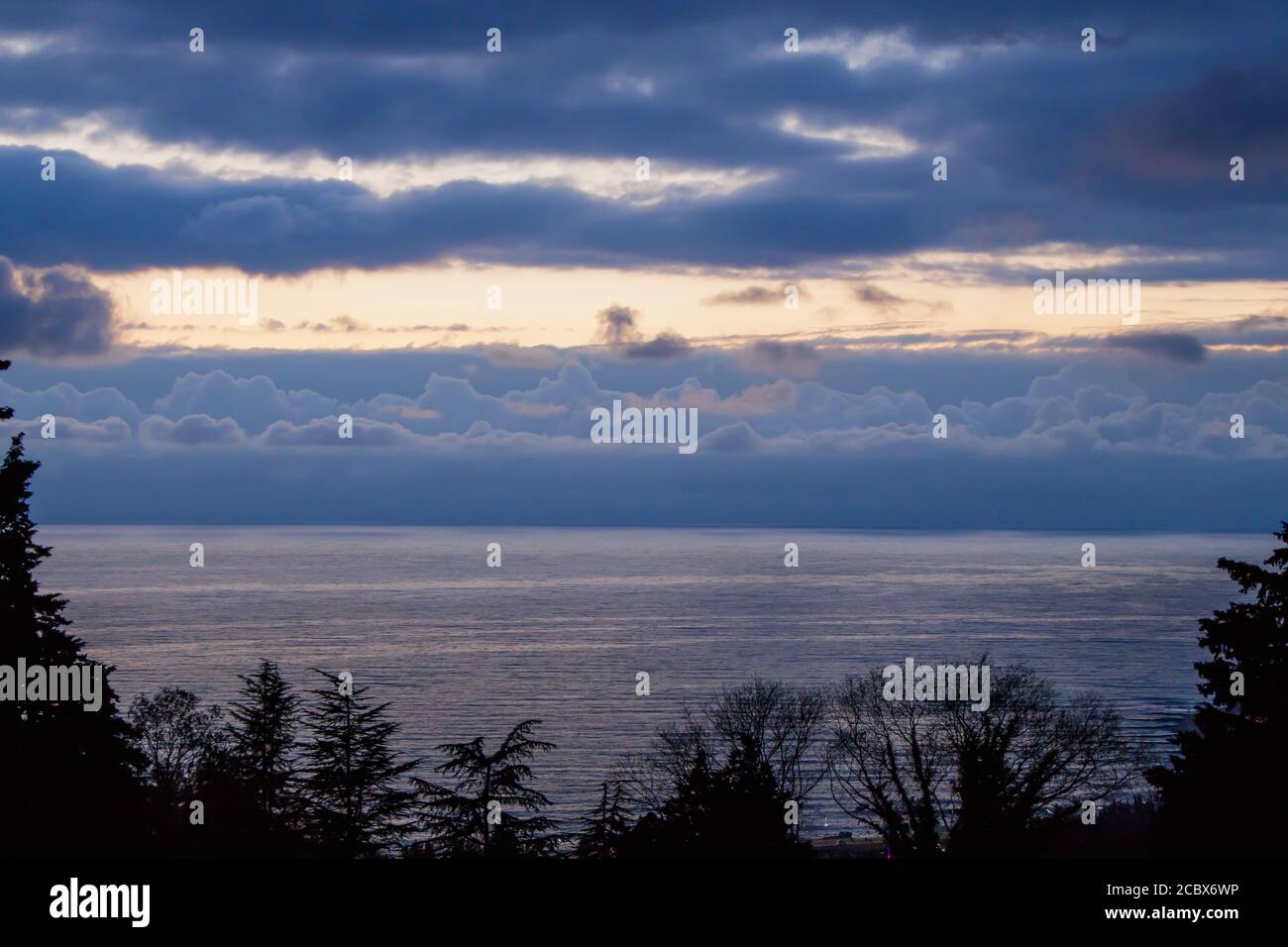 Cielo e mare in blu dopo il tramonto, incorniciati da sagome di alberi Foto Stock
