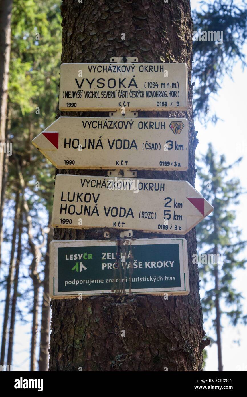 Waymarker - cartello di direzione, escursioni vicino Hojna Voda alla montagna Vysoka, Repubblica Ceca Foto Stock