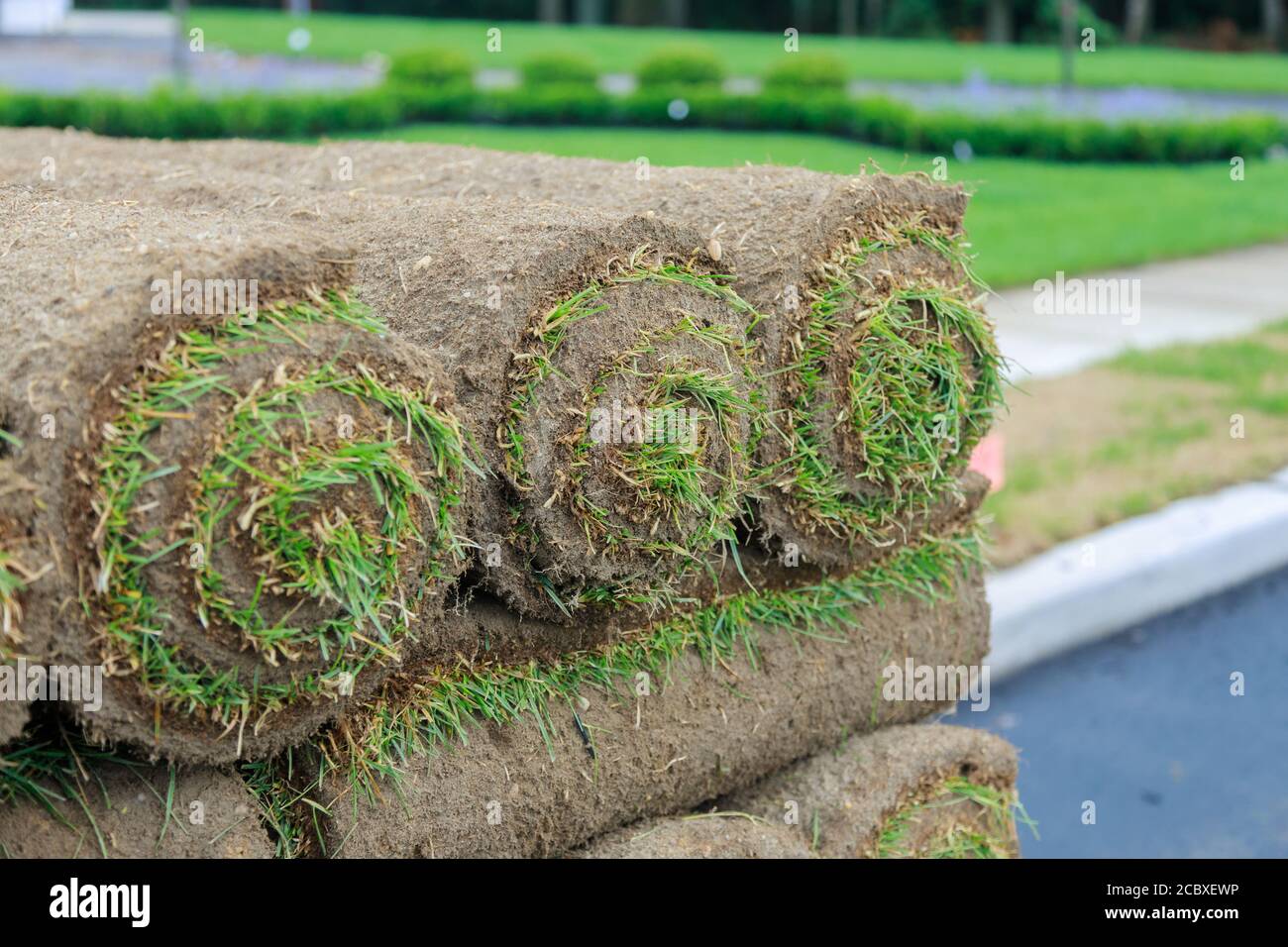 Giardiniere che installa l'installatore di erba naturale del tappeto erboso bello rotolato campo di prato del mod. Foto Stock