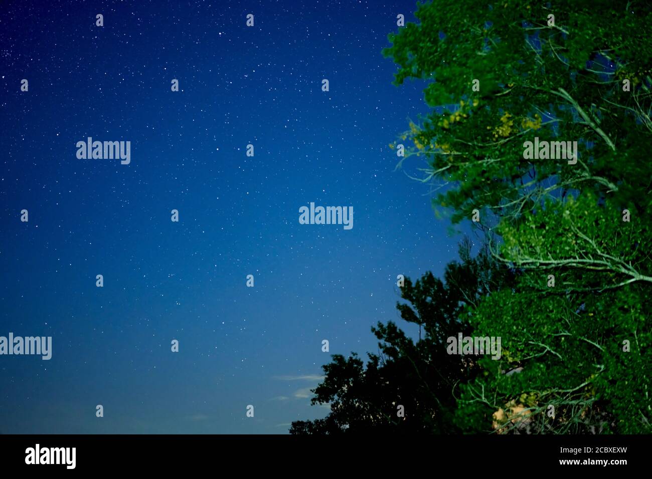 La galassia della Via Lattea stelle spazio polvere nell'universo, fotografia a lunga esposizione, con grano. Estate notte cielo Milkyway Nightscape Foto Stock